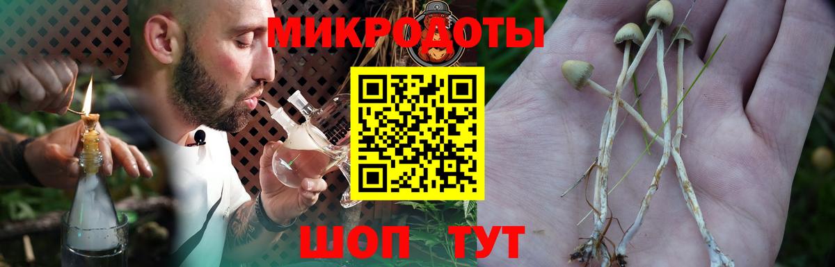 Щёлково  Галлюциногенные грибы Cubensis  Вход с VPN 